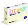 Image de IMAGE Coloraction 838A 120S 2 Antalis Papier couleur A4 120 g/m² Ivoire/2 (Import Allemagne) en occasion ou reconditionné