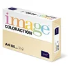 Image de Coloraction 838A 080S 2 Antalis Papier couleur A4 80 g/m² Ivoire/2 (Import Allemagne) en occasion ou reconditionné