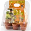 Image de Mini serre 6 pots Mon premier jardin