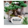 Image de Bonsaï Pinus Pinea à semer | Radis et Capucine