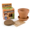 Image de Plante qui pétille en pot de culture pour enfants