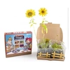Image de Coffret potager miniature