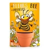 Image de - fleurs des abeilles à semer - carte avec pot