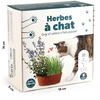 Image de Coffret Herbe à Chat | Radis et Capucine