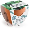 Image de Mini kit Basilic Grand Vert - Terre Cuite - 6 cm | Radis et Capucine