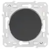 Image de Bouton poussoir Odace Gris anthracite