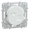 Image de - Prise RJ45 cat 6 blindée auto Blanc - Ovalis - Schneider