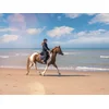 Image de Journée de balade, randonnée à cheval ou cours d'équitation