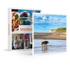 Image de - Coffret Cadeau 1 activité équestre d'environ 1h pour 2 personnes-Sport & Aventure