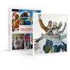 Image de - Coffret Cadeau Coffret Cadeau de Noël : 1 activité pour 3 à 5 personnes-Multi-thèmes