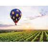 Image de Vol en montgolfière pour 2 au-dessus des vignobles de Quincy