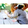 Image de Dégustation passionnante de 11 vins biologiques du Domaine de Sauzet au sud de Montpellier