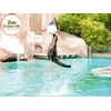 Image de Sortie en famille au Parc Zoologique d'Amnéville