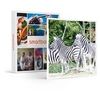 Image de - Coffret Cadeau Journée au Parc Zoologique d'Amnéville en famille-Sport & Aventure