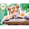 Image de Journée au Parc Zoologique d'Amnéville pour 2 adultes