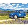 Image de Balade vintage en 2 CV dans les champs de lavande et visite de distillerie