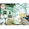 Image de 1h de dégustation commentée de 4 vermouths La Maison Noilly Prat et atelier cocktail avec Bacardi