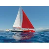 Image de Demi-journée d'excursion en catamaran dans le golfe d'Ajaccio