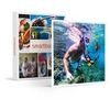 Image de - Coffret Cadeau Snorkeling : 4h d'activité avec collations pour 4 à Marseille-Sport & Aventure