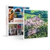 Image de - Coffret Cadeau Région toulousaine vue du ciel : balade aérienne privée d'1h pour 3 personnes-Sport & Aventure