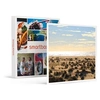 Image de - Coffret Cadeau Balade aérienne de 45 min sur la côte méditerranéenne à Montpellier-Sport & Aventure