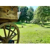 Image de 2 jours insolites en chariot western près de Quimperlé