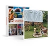 Image de - Coffret Cadeau 3 jours insolites en chariot western près de Quimperlé-Séjour