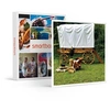 Image de - Coffret Cadeau 4 jours insolites en chariot western près de Quimperlé-Séjour
