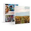 Image de - Coffret Cadeau Visite et dégustation de vins en duo près de Versailles-Gastronomie