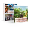Image de - Coffret Cadeau Visite, dégustation et accord mets-vins en duo aux portes de Paris-Gastronomie