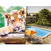 Image de Journée à 2 au Parc Zoologique d'Amnéville avec nuit à l'hôtel