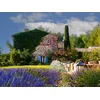 Image de Escapade provençale: 2 jours en mas avec dîner et piscine près d'Aix