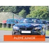 Image de Stage de pilotage enfant: 10 tours de circuit au volant d'une BMW Z4 Roadster
