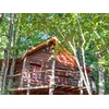 Image de Séjour dans les arbres: 2 jours en famille dans une cabane et tyrolienne près de Tarbes