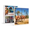 Image de - Coffret Cadeau 3 jours en riad avec hammam et excursion en dromadaire dans la Palmeraie de Marrakech-Séjour