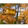 Image de 3 jours insolites en cabane perchée dans les arbres avec accès au spa près de Carnac