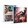 Image de - Coffret Cadeau Pilotage de course automobile de 30 min sur simulateur au cour de Paris-Sport & Aventure