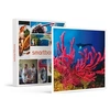 Image de - Coffret Cadeau Baptême de plongée passionnant de 3h en duo au large de Fréjus-Sport & Aventure