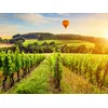 Image de Vol en Montgolfière au départ de Beaune en semaine