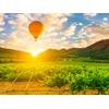 Image de Vol en montgolfière pour 2 au-dessus des vignobles de Bourgogne en semaine