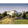 Image de Séjour de 2 jours en château 4* avec dîner et dégustation de vins près de Gaillac