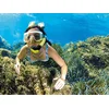 Image de Plongée en Corse: sortie en snorkeling d'1h et baptême de 30 min à Calvi