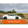 Image de Stage de pilotage enfant: 4 tours de circuit en Lamborghini Gallardo et en Ferrari F430 Spider