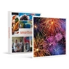 Image de - Coffret Cadeau Carte cadeau nouvel an - 50 ?-Multi-thèmes