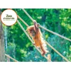 Image de Journée découverte au Parc Zoologique d'Amnéville pour 5 personnes