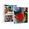 Image de - Coffret Cadeau Carte cadeau pour Noël - 30 ?-Multi-thèmes