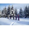 Image de Randonnée en raquettes d'1 journée avec un guide près de Val Thorens pour 2 personnes