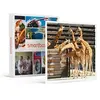 Image de - Coffret Cadeau Journée fascinante au Parc Zoologique de Paris pour 1 adulte et 2 enfants-Sport & Aventure