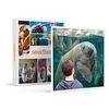 Image de - Coffret Cadeau Activité en famille : entrée pour 2 adultes et 2 enfants au Parc Zoologique de Paris-Sport & Aventure