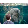 Image de Activité en famille: entrée pour 2 adultes et 2 enfants au Parc Zoologique de Paris